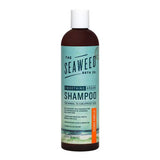 Wholesale Shampoo