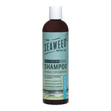 Wholesale Shampoo