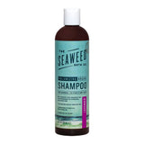 Wholesale Shampoo